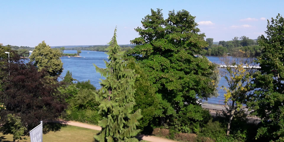Ferienwohnung Familie Winkel in Oestrich